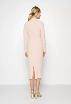 Wal G Wgxzl Wedding – Franka High Neck Mesh Midi Dress – Cocktail Dress / Party Dress . Cheap|Women Dress
